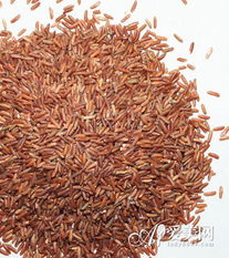 秋季吃粗糧排毒養顏 別錯過這8種谷物食品及其種植知識