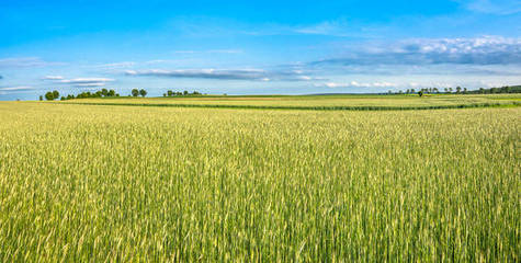 俯瞰豐收 無人機(jī)視角下的空中農(nóng)業(yè)景觀