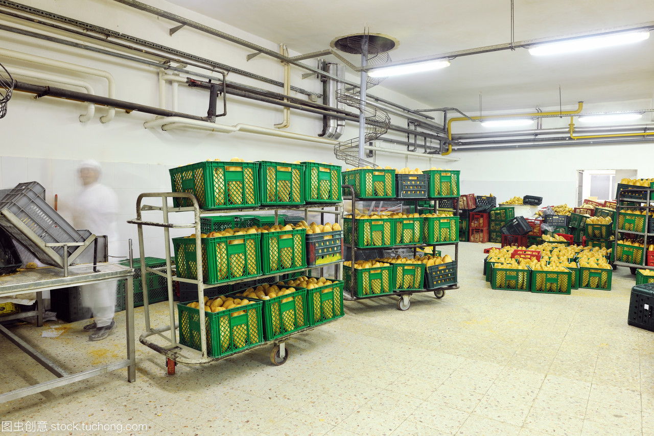 從田野到餐桌 谷物種植如何驅動現代食品制造業的崛起