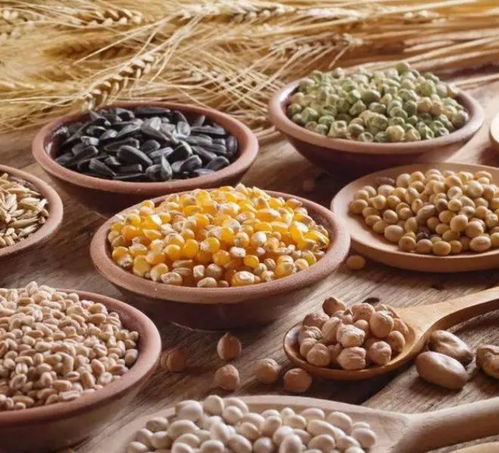 延壽新發現 飲食五要點，或可增壽十年——從谷物種植到餐桌健康的科學啟示